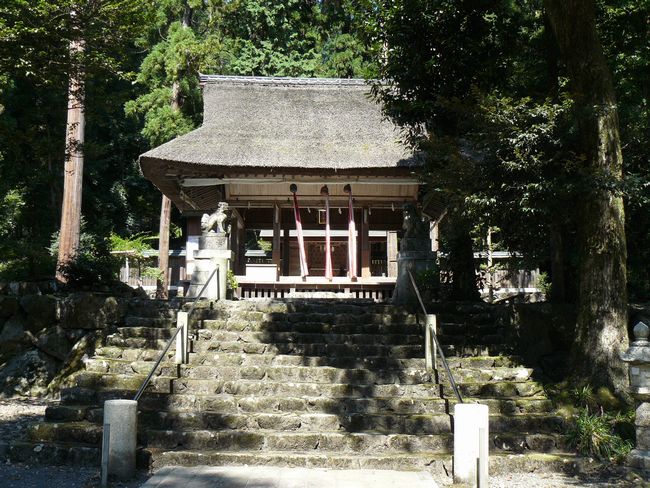 ���l�s�E�ɍ���_��