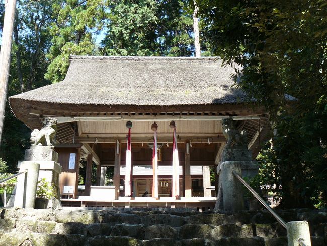 ���l�s�E�ɍ���_��