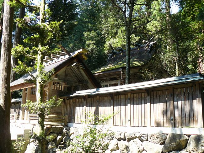 ���l�s�E�ɍ���_��