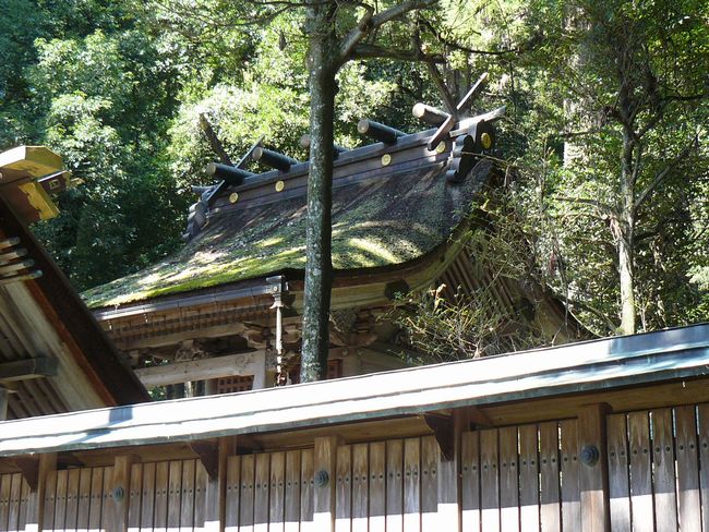 ���l�s�E�ɍ���_��