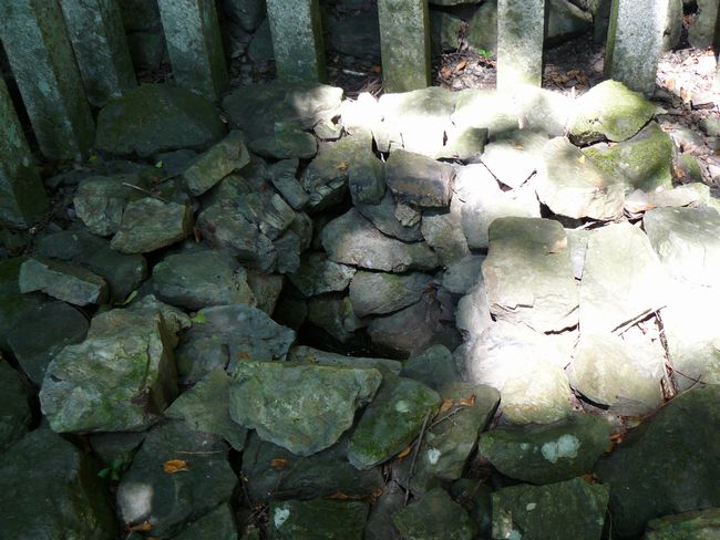 ���l�s�E�ɍ���_��