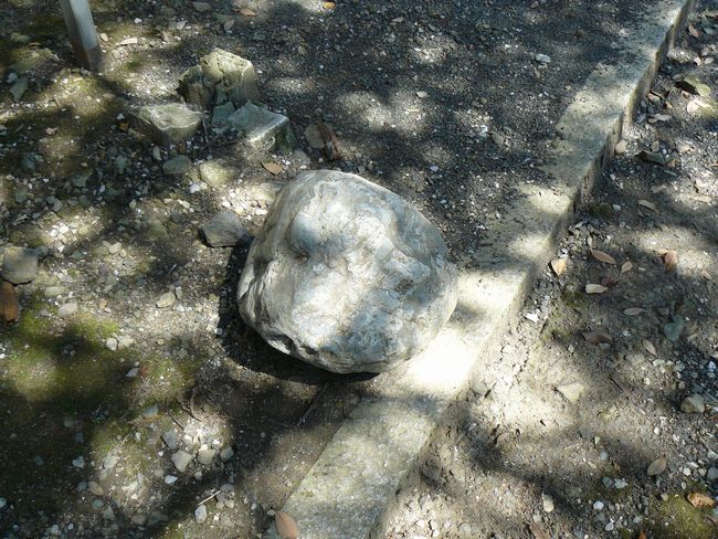 ���l�s�E�ɍ���_��