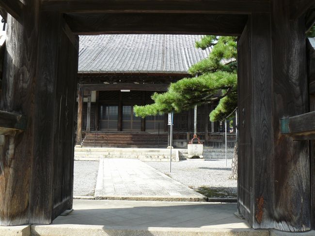 ���l�s�E�[�����i�����t�ω����j