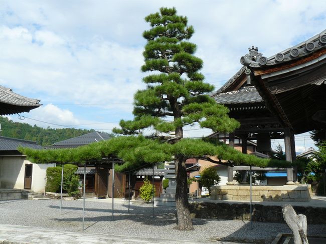 ���l�s�E�[�����i�����t�ω����j