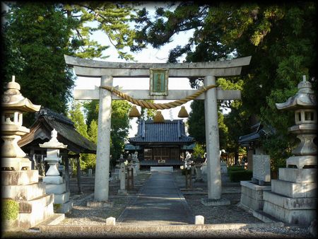 �_���ΐ_��