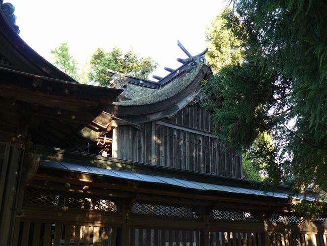 ���l�s�E�_���ΐ_��