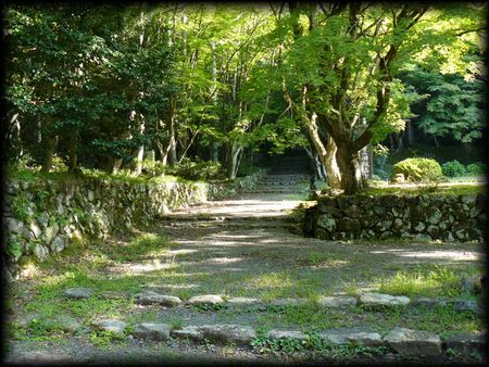 �{�����i���ѕ����j