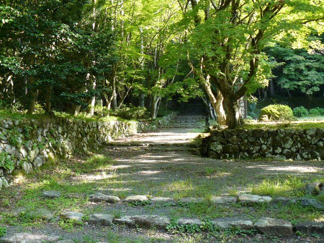 ���l�s�E�{�����i���ѕ����j