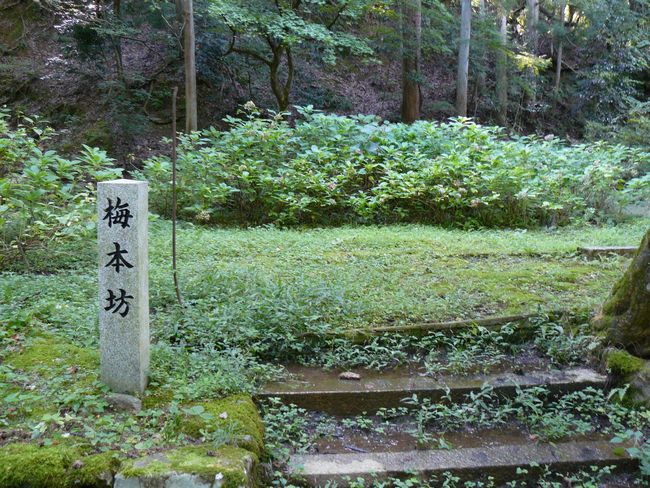 ���l�s�E�{�����i���ѕ����j