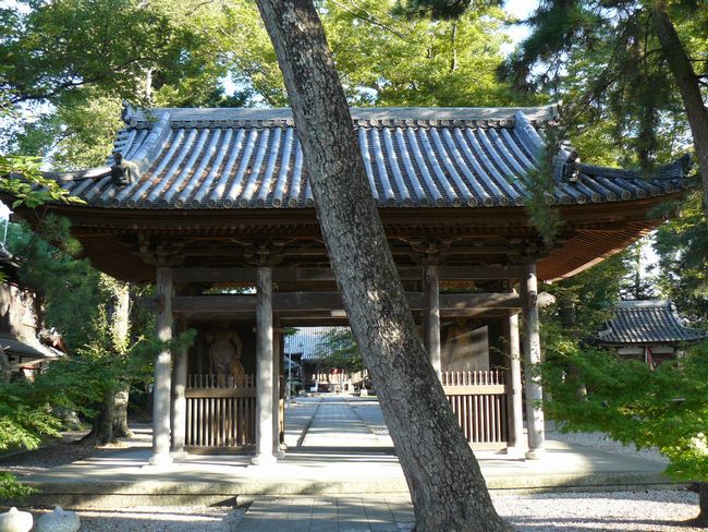 ���l�s�E�������i�n�ݎ��ω����j