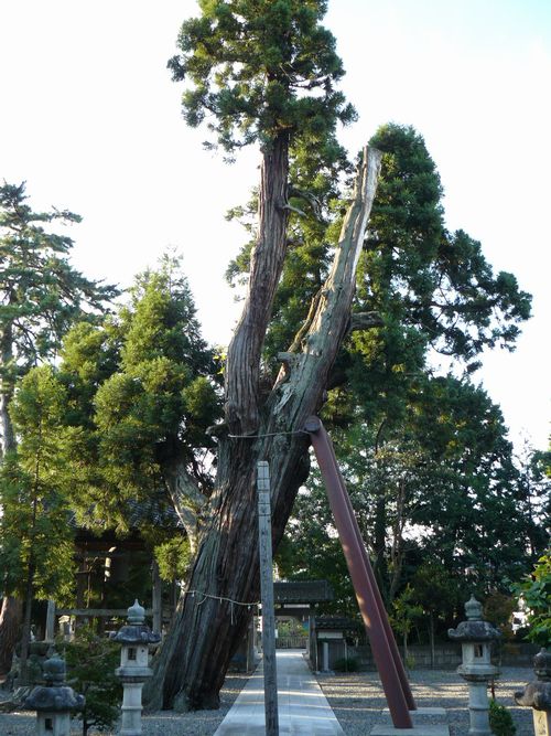 ���l�s�E��~��