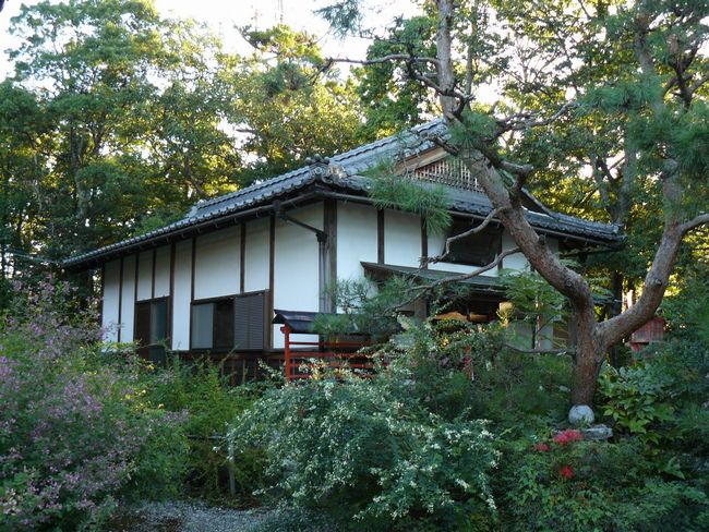 ���l�s�E�_�Ǝ�