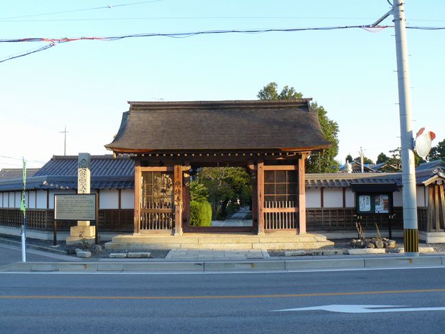 ���l�s�E������