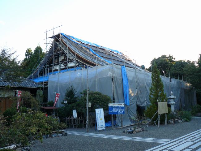 ���l�s�E������