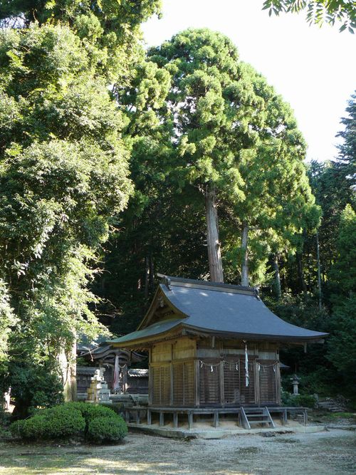 ���l�s�E�fᵖ��_��