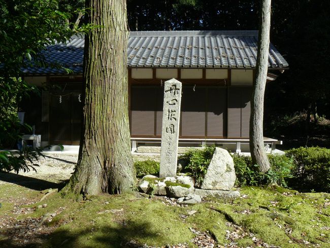 ���l�s�E�fᵖ��_��