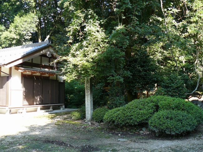 ���l�s�E�fᵖ��_��