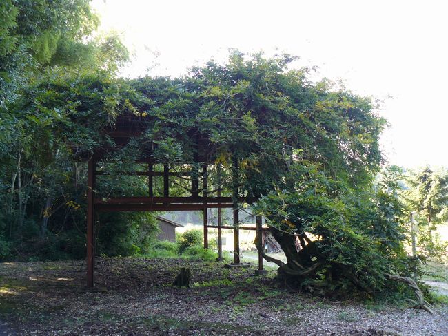 ���l�s�E�fᵖ��_��