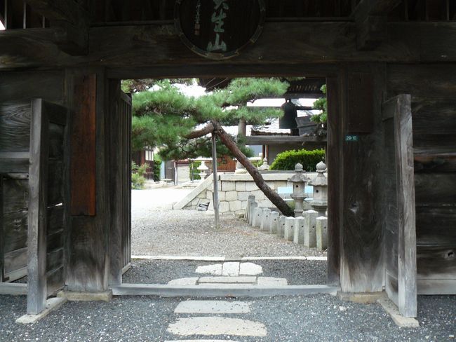 ���l�s�E�m�P�@