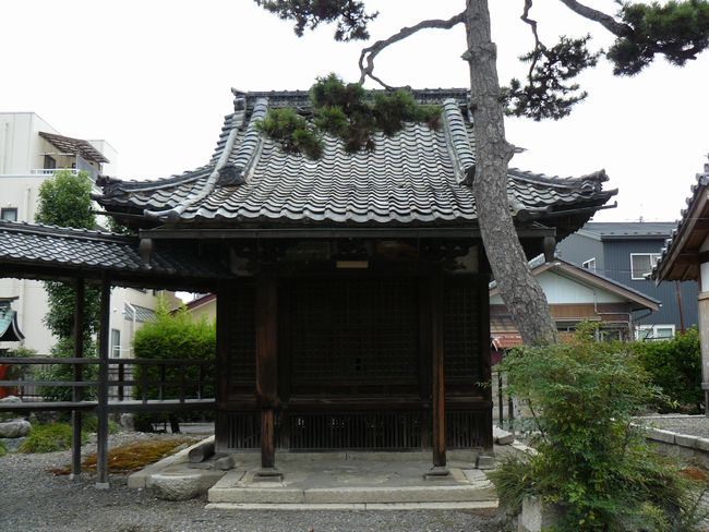 ���l�s�E�m�P�@