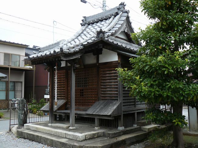 ���l�s�E�m�P�@