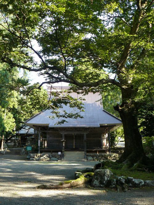 ���l�s�E�^�u�R�_��