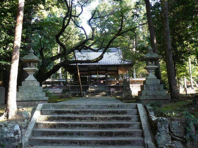 ���l�s�E�^�u�R�_��