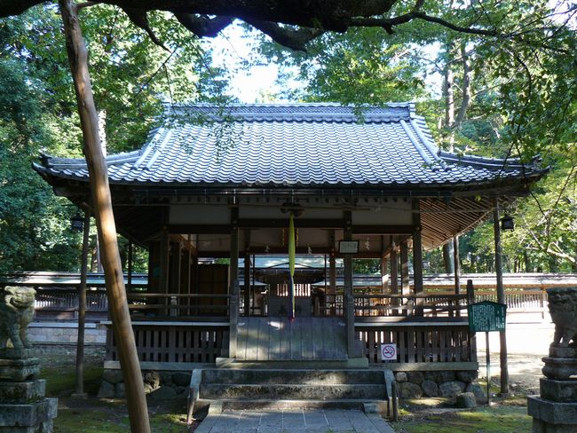 ���l�s�E�^�u�R�_��