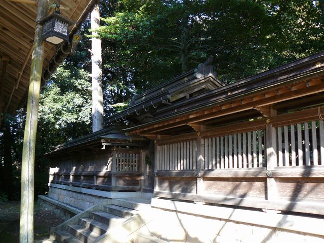 ���l�s�E�^�u�R�_��