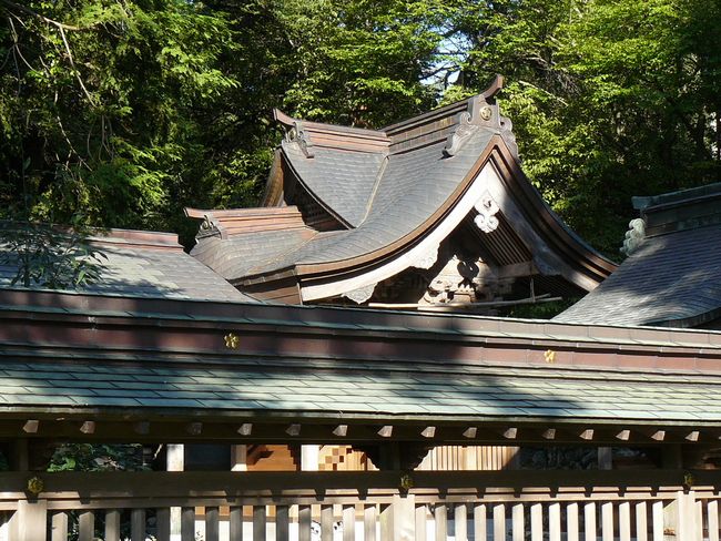 ���l�s�E�^�u�R�_��