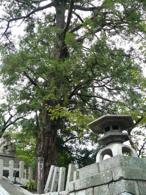 ��Îs�E����_��