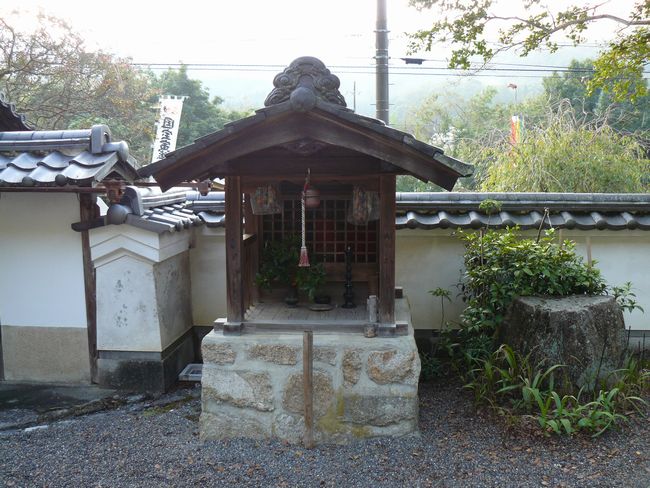 ��Îs�E�@�y��