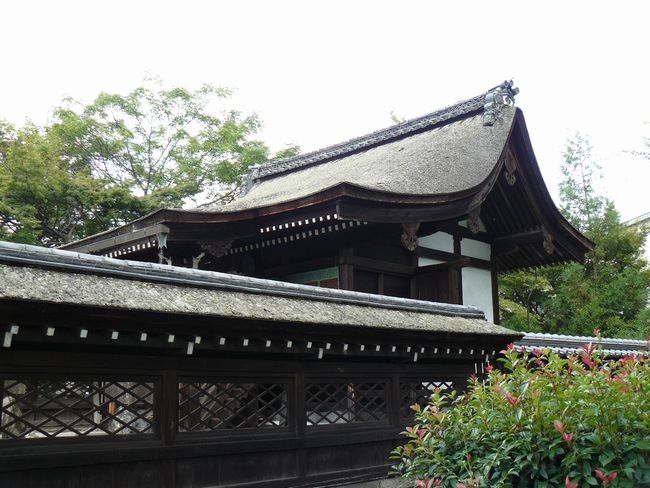 ��Îs�E�΍��_��