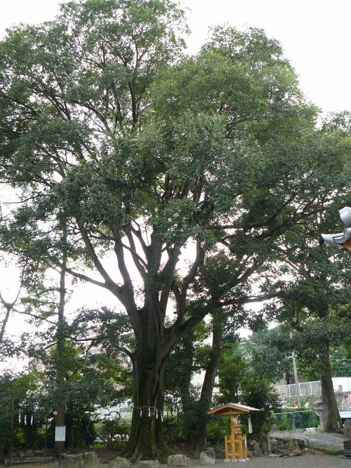 ��Îs�E�΍��_��