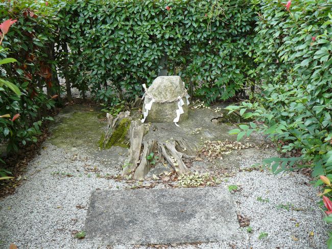 ��Îs�E�΍��_��