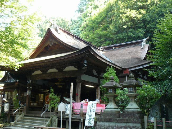 ��Îs�E��Ԏ�