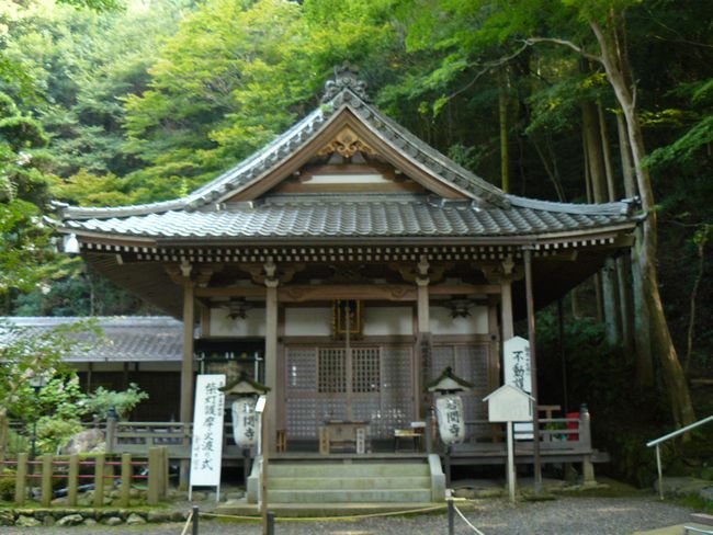 ��Îs�E��Ԏ�