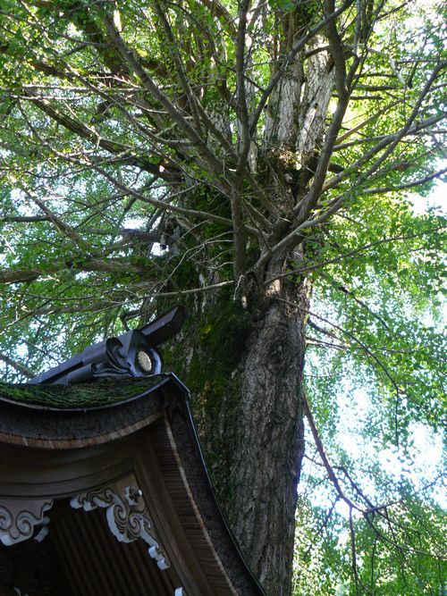 ��Îs�E��Ԏ�