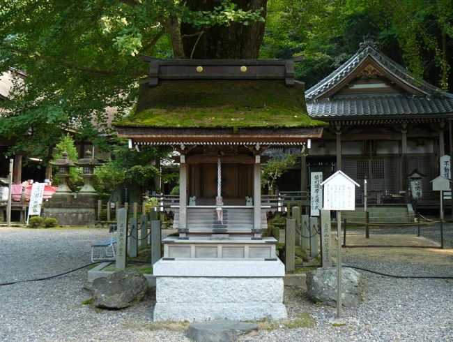 ��Îs�E��Ԏ�