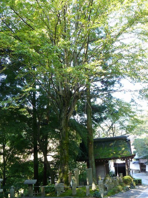 ��Îs�E��Ԏ�