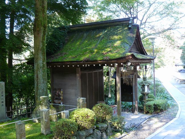 ��Îs�E��Ԏ�