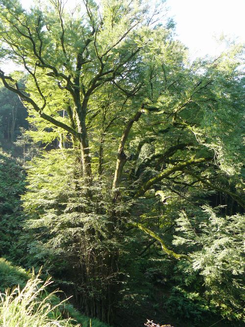 ��Îs�E��Ԏ�