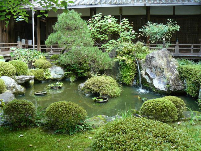 ��Îs�E��Ԏ�