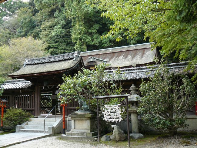 ��Îs�E�����_��