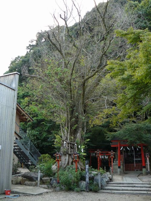 ��Îs�E�����_��