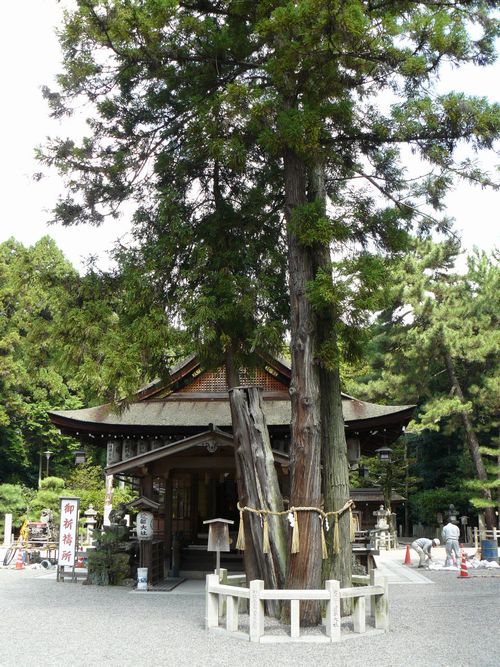 ��Îs�E�������