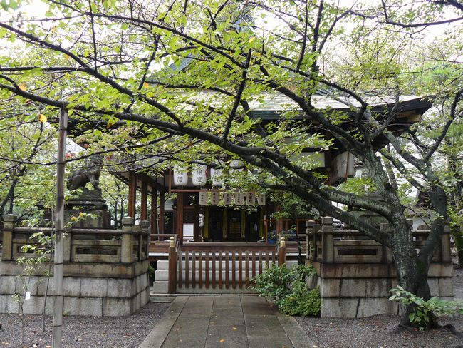 ��Îs�E�V���_��