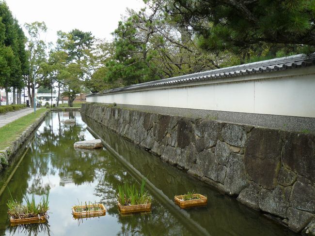 ��Îs�E�V����