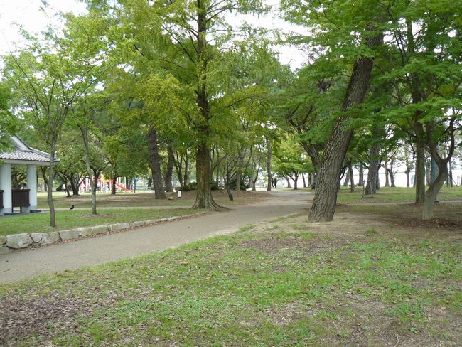 ��Îs�E�V����