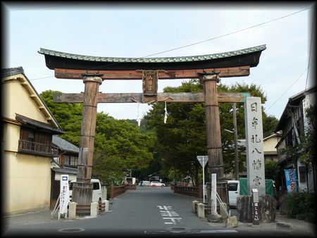 �����甪���{